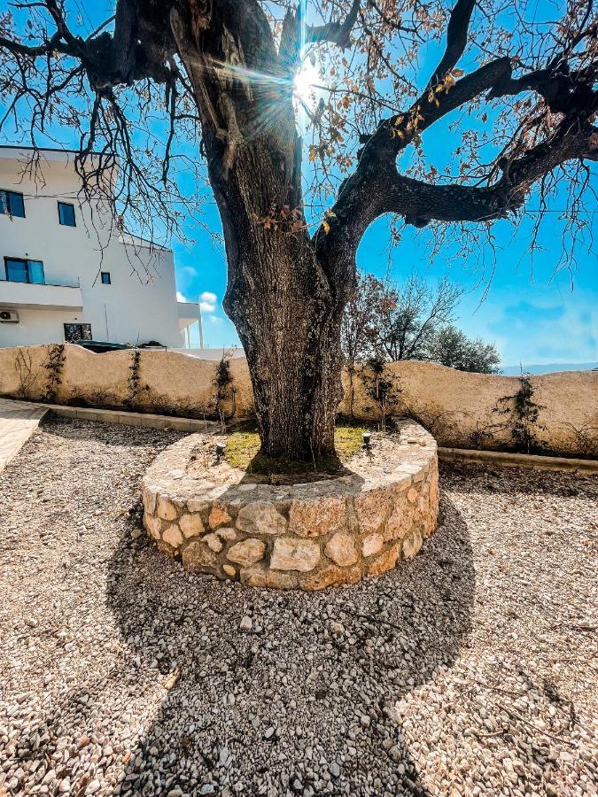 דרמי Gogo'S Boutique Hotel מראה חיצוני תמונה